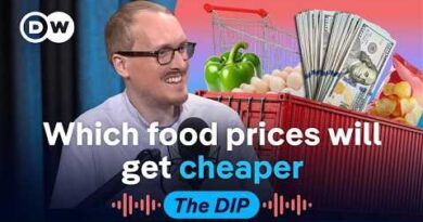 How the US is attracting EU businesses despite rising costs | DW News