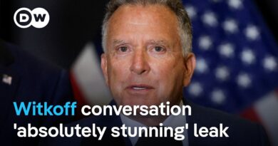 How will the Witkoff leak affect peace negotiations? | DW News