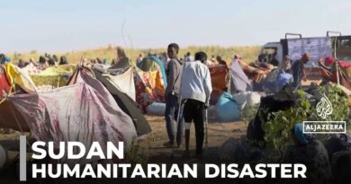 Humanitarian disaster worsens across Sudan after RSF takes over el-Fasher