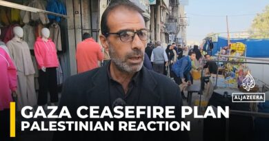 ‘I completely reject this decision’: Palestinians react to UN resolution on Gaza