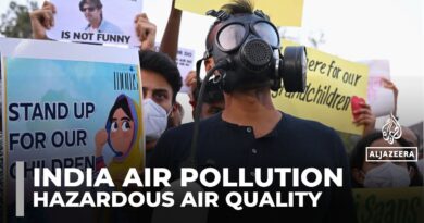 ‘I just want to breathe’: Protests over pollution in India’s New Delhi