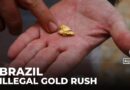 Illegal mining is a major crisis in Brazil: Lawless mining has destroyed over 4,000 hectares