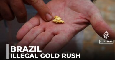 Illegal mining is a major crisis in Brazil: Lawless mining has destroyed over 4,000 hectares