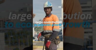 Immigrants fuel Spain’s economic boom | DW News