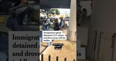 Immigration Agents Arrest Man and Drive Off With His Toddler
