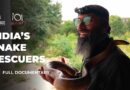 India’s snake rescuers: Can humans and serpents coexist in a megacity? | 101 East Documentary