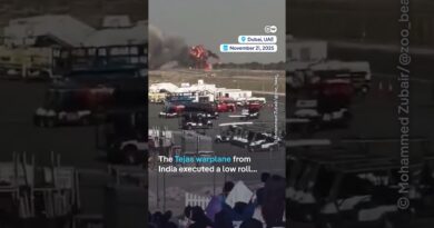 India’s Tejas fighter jet crashes at Dubai Air Show, killing pilot | DW News