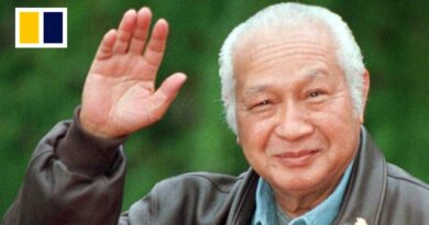 Indonesia names Suharto national hero despite protests