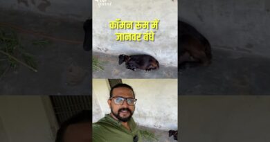 Inside Bihar’s Sanskrit Schools: Ruins, Unpaid Teachers, and Broken Promises | The Quint