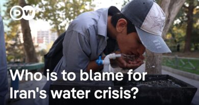 Iran ‘should expect another major uprising’ over worst drought in decades | DW News