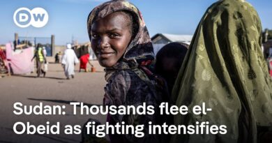 Is Chad able to cope with influx of refugees from Sudan? | DW News