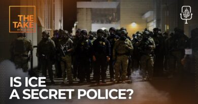 Is ICE in the US operating as secret police? | The Take