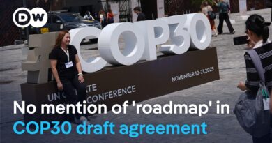 Is it possible to take meaningful climate action without this measure? | DW News