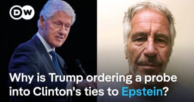 Is Trump’s new Epstein ties investigation ‘an act of hope’ or ‘desperation’? | DW News