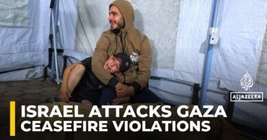 Israel kills at least 30 Palestinians in wave of Gaza ‘ceasefire’ attacks