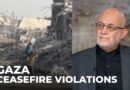 Israel not being held to account over Gaza ceasefire breaches: Sami Al-Arian
