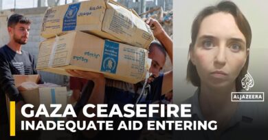 Israel still restricting critical aid from entering Gaza despite ceasefire deal: UNICEF