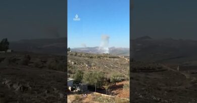 Israeli air strikes hit villages in southern Lebanon on ceasefire anniversary | AJ #shorts