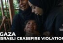 Israeli ceasefire violations: Palestinians experience deadliest strikes in weeks