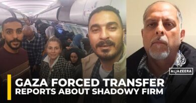 Israeli-Estonian citizen is behind shadowy organisation arranging flights out of Gaza: Report