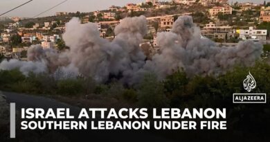 Israeli military targets four towns in southern Lebanon, killing at least 14 people