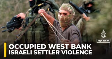 Israeli settlers brutally attack Palestinians, activists, and journalists in West Bank