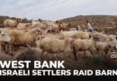 Israeli settlers raid barn: Palestinian family assaulted and animals killed