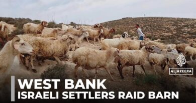 Israeli settlers raid barn: Palestinian family assaulted and animals killed