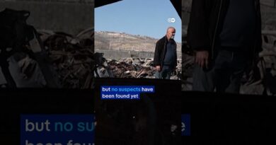 Israeli settlers set cars on fire in attack near Nablus, in the occupied West Bank | DW News