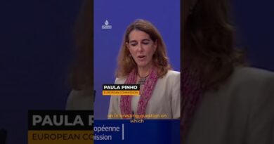 Italian journalist who lost job over Israel question says he stands by it | AJ #shorts