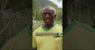 Jamaica assesses damage after Hurricane Melissa | DW News