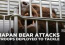 Japan deploys troops to northern mountains to tackle rising deadly bear attacks