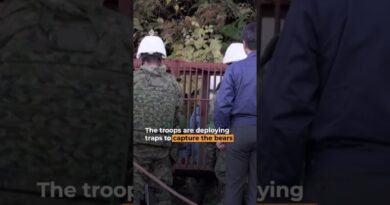 Japanese soldiers deploy to combat wave of deadly bear attacks