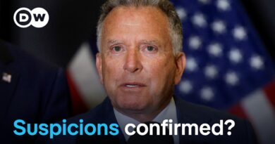 Leak: US envoy Witkoff told Russia how to pitch peace plan to Putin | DW News