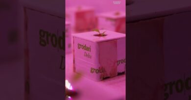 LED #lights could help reduce #energy consumption while growing #produce. Here’s how.