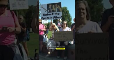 MAGA successfully bullied Trump into releasing the Epstein files #shorts