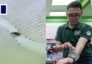 Malaysian scientists turn bed bugs into crime solvers