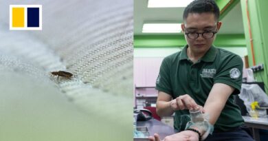 Malaysian scientists turn bed bugs into crime solvers