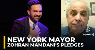 Mamdani won mayoral race by focusing on affordability, unity and change: Analysis