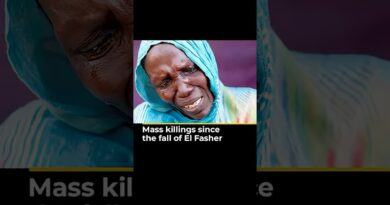 Mass killings since the fall of El Fasher | LP #shorts