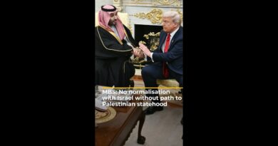 MBS: No normalisation with Israel without path to Palestinian statehood | #ajshorts