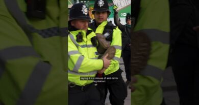 Meet the Palestine Action protesters the UK government is arresting | DW News