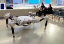 Meet the spider robot that 3D prints homes
