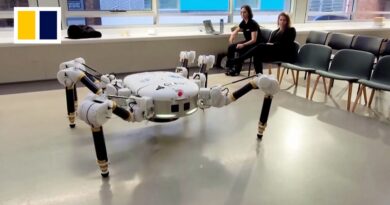 Meet the spider robot that 3D prints homes