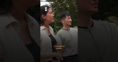 Meeting one of Thailand’s premium durian exporters, Wen Chao | 101 East #shorts