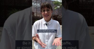 Merz’s comments on Brazil’s Belem sparking outrage | DW News