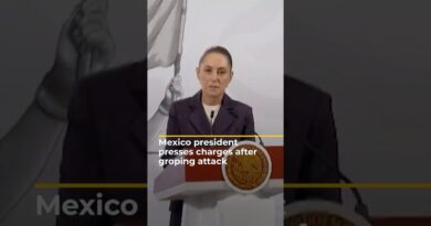 Mexican President presses charges after public groping attack | AJ #shorts