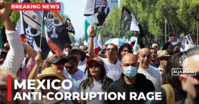 Mexico demonstrations: Large protests against crime and corruption