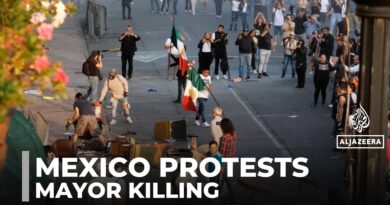 Mexico violence: Protests continue over mayor killing in Michoacan