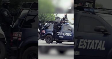 Mexico’s battle with cartels and corruption | DW Documentary